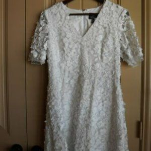 Adrianna Papell Embroidered Floral Lace Mesh Fit & Flare White Dress (Size 10)